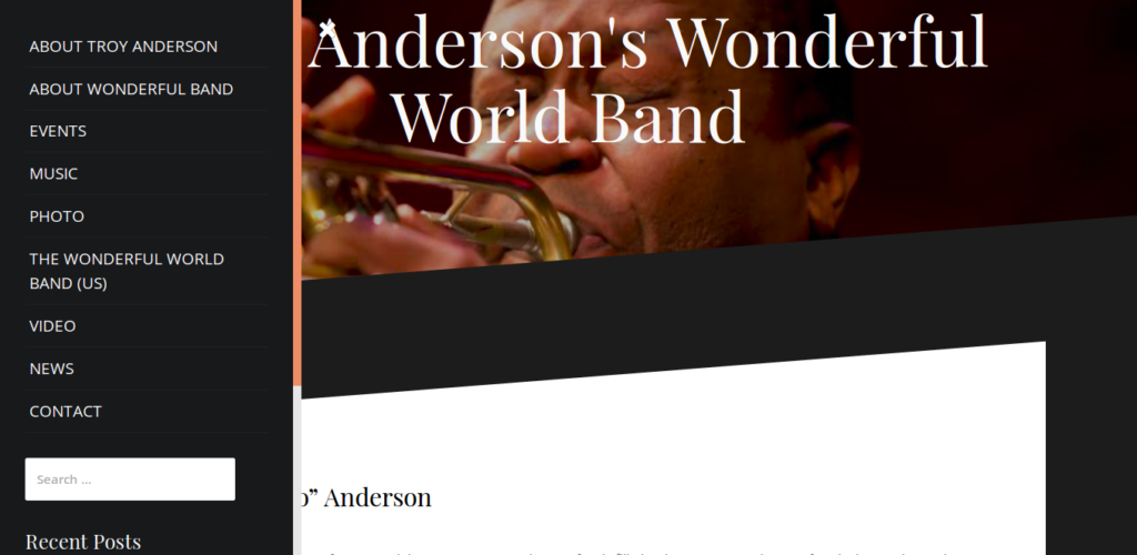 Troy Anderson's Wonderful World Band